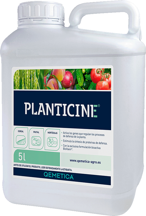 Product image  PLANTICINE